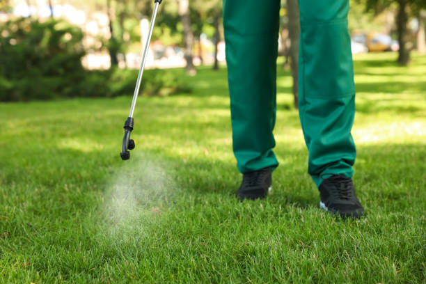 Best Mosquito Control Services  in Twinsburg Heights, OH