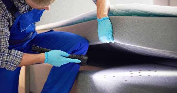 Best Pest Prevention Services  in Twinsburg Heights, OH