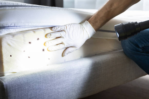 Best Cockroach Control Services  in Twinsburg Heights, OH
