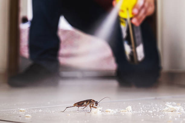 Trusted Twinsburg Heights, OH Pest Control Experts