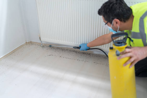 Best Wasp Removal Services  in Twinsburg Heights, OH