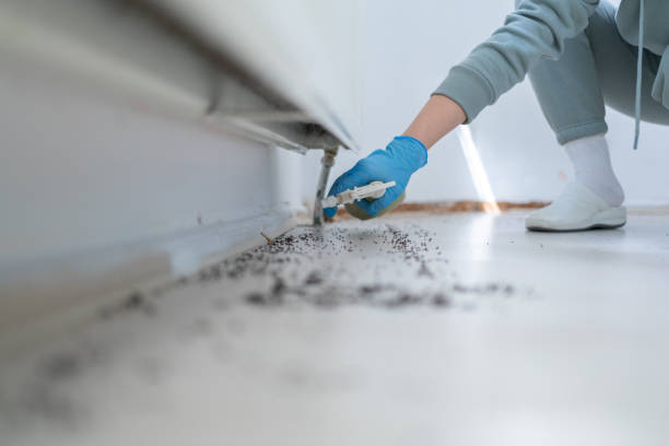 Best Best Pest Control Companies  in Twinsburg Heights, OH